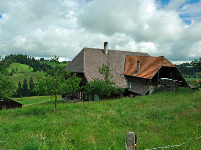 Humbert Immobilien |  Heimet inkl. Landwirtschaftsland und Wald, Heimisbach