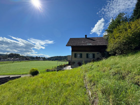 Humbert Immobilien I Grünen, EFH