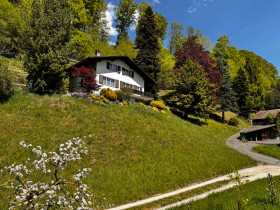 Humbert Immobilien I Trubschachen, EFH Sunneschyn