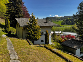 Humbert Immobilien I Trubschachen, EFH Sunneschyn
