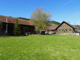 Humbert Immobilien I Eggiwil, Beisatzgasse 480c, EFH