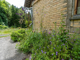 Humbert Immobilien I Oberfrittenbach, Grundgutweid