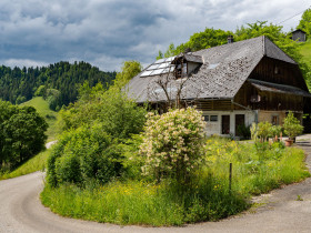 Humbert Immobilien I Oberfrittenbach, Grundgutweid