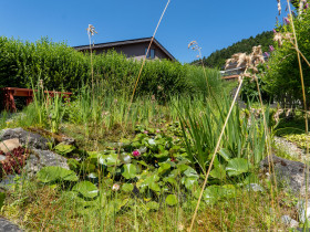 Humbert Immobilien I Niederhünigen, Kohlerhubelweg, EFH