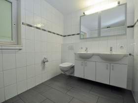 Humbert Immobilien I Langnau, Schützenweg 251, MW