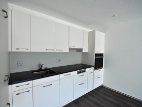 Humbert Immobilien I Zollbrück, Langnaustrasse 31