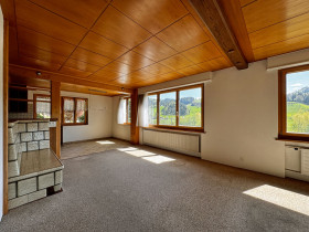 Humbert Immobilien I Trubschachen, EFH Sunneschyn