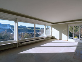 Humbert Immobilien I Langnau, Villa Fansrütistrasse 22