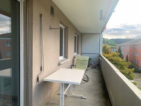 Humbert Immobilien I Langnau, Napfstrasse 48