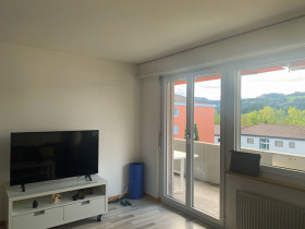 Humbert Immobilien I Langnau, Napfstrasse 48