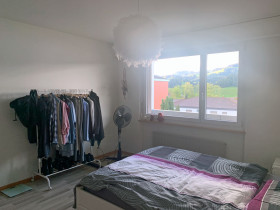 Humbert Immobilien I Langnau, Napfstrasse 48