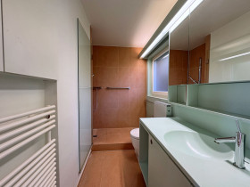 Humbert Immobilien I Langnau, Villa Fansrütistrasse 22