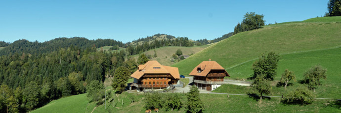 Zollbrück I Hinter Geissbühl; Bauernhaus