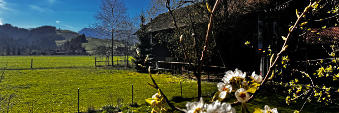 Humbert Immobilien I Eggiwil, Beisatzgasse 480c, EFH