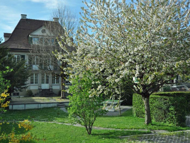 Langnau I Stegfeldweg