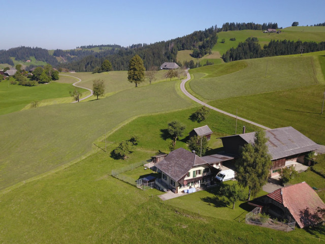 Humbert Immobilien I Scheune und Kulturland