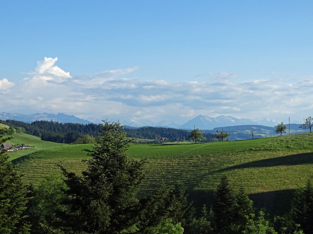 Humbert Immobilien | ehemaliges Bauernhaus, Zollbrück
