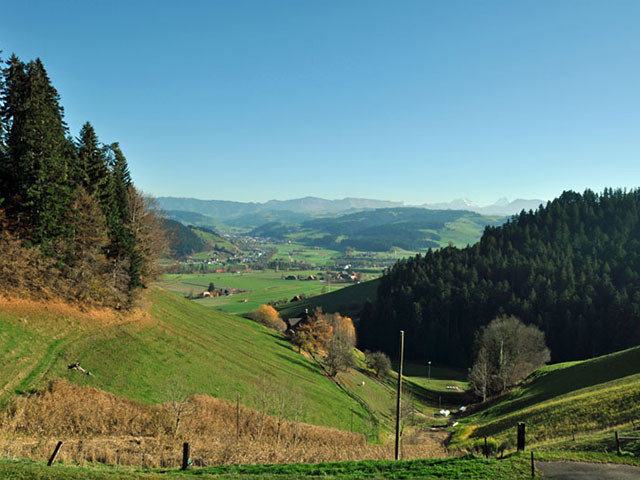 Humbert Immobilien |  Heimetli mit Speicher, Landwirtschaftsland und Waldparzelle, Lauperswil