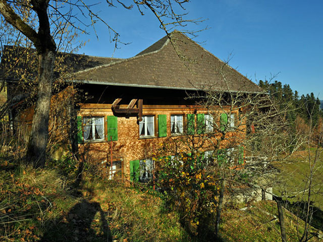 Humbert Immobilien |  Heimetli mit Speicher, Landwirtschaftsland und Waldparzelle, Lauperswil