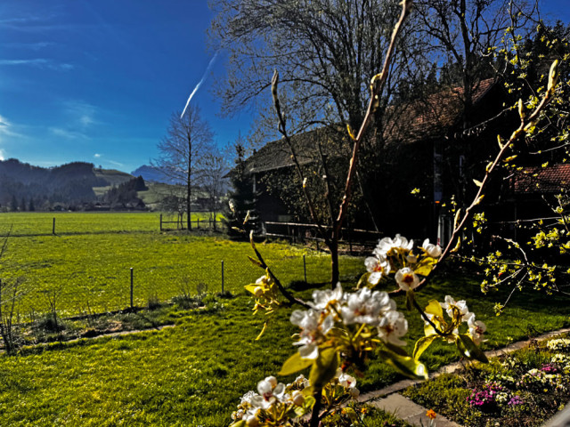 Humbert Immobilien I Eggiwil, Beisatzgasse 480c, EFH